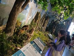 -湖南省地质博物馆