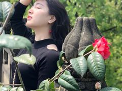 -南山植物园