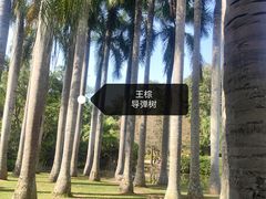 -中国科学院西双版纳热带植物园