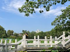 -桂湖森林公园