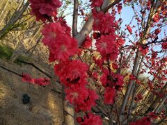 -天津东丽湖风景区