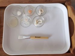 点击看大图 -薇薇安花系SPA