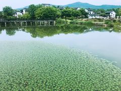 -石塘人家