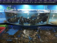 水产区-富港会·海鲜酒楼(墟沟店)