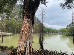 -星湖旅游景区七星岩