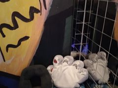 -Y&Y创意真人密室逃脱馆(人民广场步行街店)