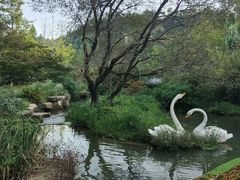 -天河潭旅游度假区