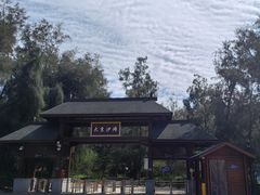 -大京沙滩