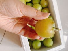 -呼吸森林·生态农庄农家乐私房菜