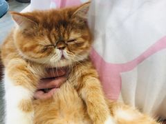 -瞄一喵猫咖(格力海岸店)