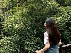 -同里国家湿地公园
