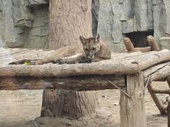 -石家庄市动物园