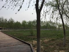 -西青郊野公园