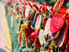 -西双版纳原始森林公园