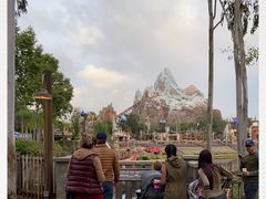 -奥兰多迪士尼动物王国乐园