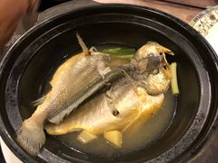 百秒黄花鱼-锦堂中餐厅
