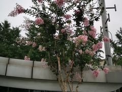 -中兴路(地铁站)