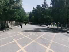 -延安杨家岭革命旧址