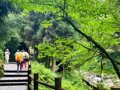 -西岭雪山大飞水景区