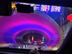 -枫花园汽车电影院(朝阳公园店)