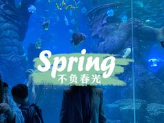 -哈尔滨波塞冬海底世界