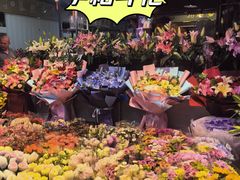 -大自然花鸟鱼虫市场
