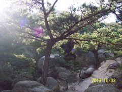 -崂山仰口游览区