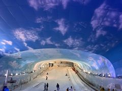 -世界之窗阿尔卑斯冰雪世界