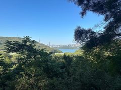 -深圳仙湖植物园