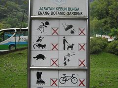 -槟城植物园