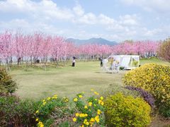 -福建鲤鱼洲酒店