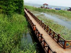 -苏州太湖国家湿地公园
