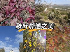 -乌素图国家森林公园