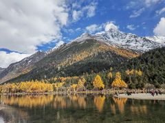 -金鼎雪山牦牛杂火锅(理县总店)