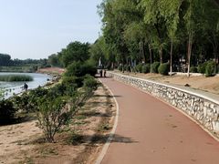 -丁香湖公园