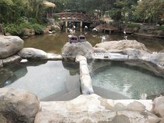 -河源客天下-温泉小镇