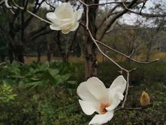 -云溪植物园