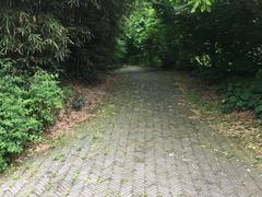 -梁鸿国家湿地公园