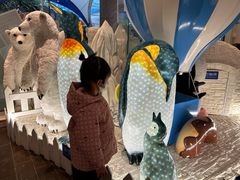 -帝企鹅自助餐厅•儿童岛•真企鹅(长隆企鹅酒店)