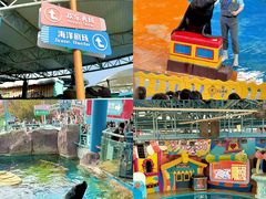 -海合安武汉极地海洋公园