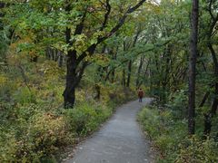 -吊水壶国家森林公园