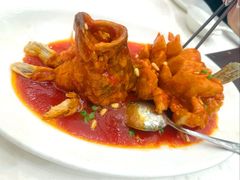 松鼠桂鱼-顺风酒店(长寿路店)