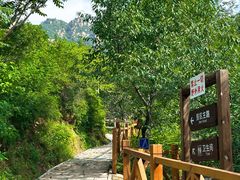 -大岭沟猕猴桃谷风景区