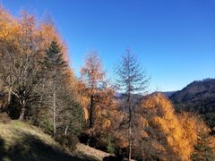 -硗碛藏寨·神木垒景区