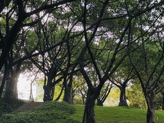 -广州雕塑公园