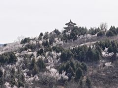 -白水寺森林公园