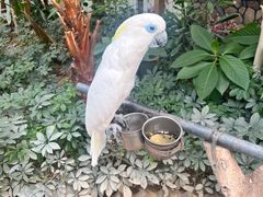 -南宫五洲植物乐园