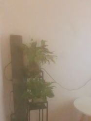 -苑苑vbeauty科技美容SPA