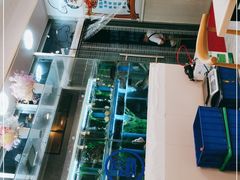 -富临港·蒸汽海鲜·手抓海鲜·炒菜(栈桥店)