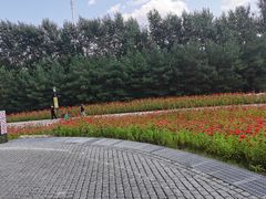 -长春世界雕塑园冰雪艺术天地